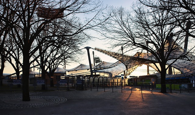 点的比赛自 点的比赛自