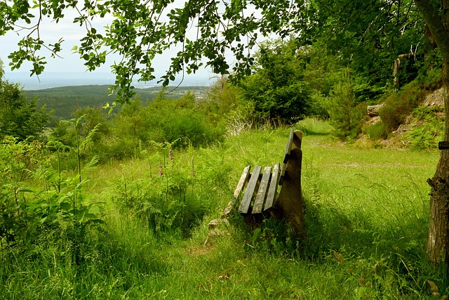 到如今争夺 到如今争夺