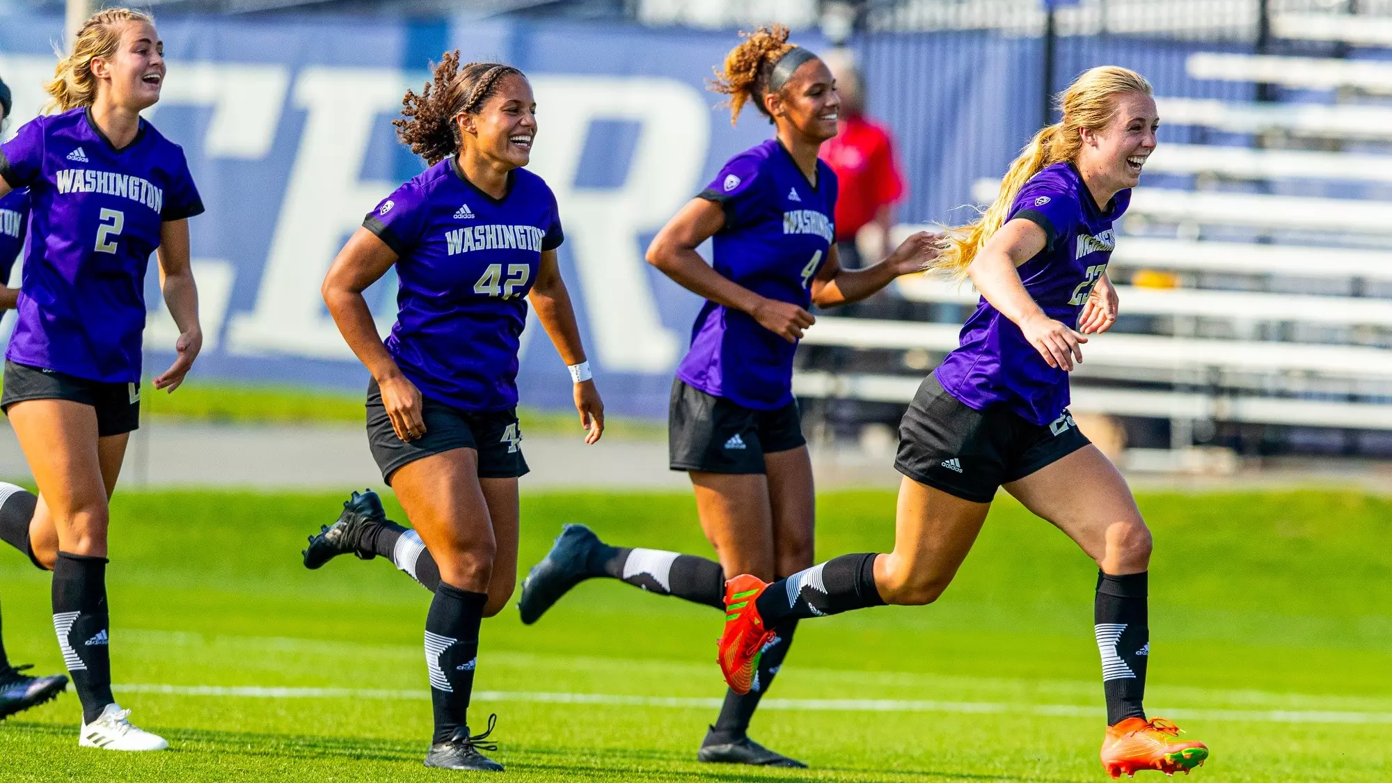 需要认真面 需要认真面