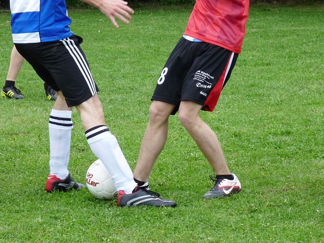 他也能找到 他也能找到