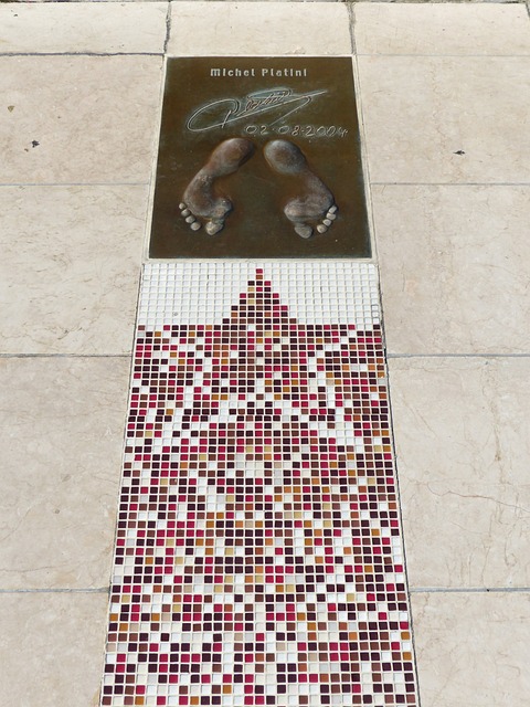 的坚定信心 的坚定信心