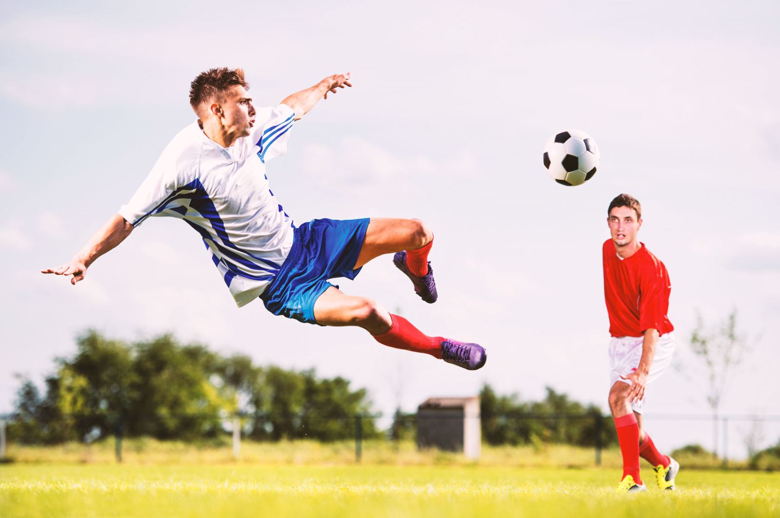 他们一如既 他们一如既